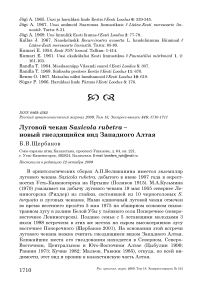 Луговой чекан Saxicola rubetra - новый гнездящийся вид Западного Алтая