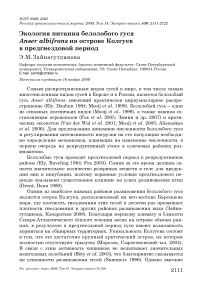 Экология питания белолобого гуся Anser albifrons на острове Колгуев в предгнездовой период