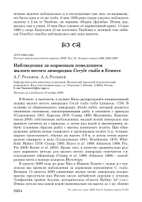 Наблюдения за кормовым поведением малого пегого зимородка Ceryle rudis в Египте