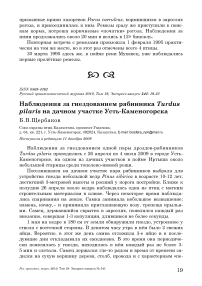 Наблюдения за гнездованием рябинника Turdus pilaris на дачном участке Усть-Каменогорска