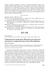 Горихвостка-чернушка Phoenicurus ochruros гнездится в окрестностях Санкт-Петербурга