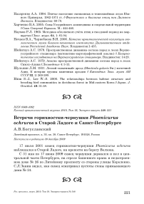 Встречи горихвостки-чернушки Phoenicurus ochruros в Старой Ладоге и Санкт-Петербурге