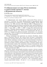 О гибридизации пухляка Parus montanus и сероголовой гаички P. cinctus в Мурманской области