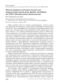 Использование плечевых костей для определения орлов рода Aquila, погибших на ЛЭП в Центральных Кызылкумах