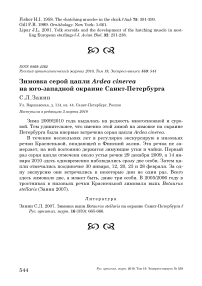 Зимовка серой цапли Ardea cinerea на юго-западной окраине Санкт-Петербурга