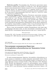 Гнездование камышевки-барсучка Acrocephalus schoenobaenus на Западном Алтае