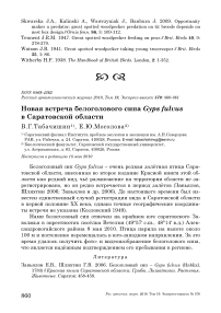 Новая встреча белоголового сипа Gyps fulvus в Саратовской области