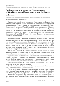 Наблюдения за птицами в центральном и Юго-Восточном Казахстане в мае 2010 года