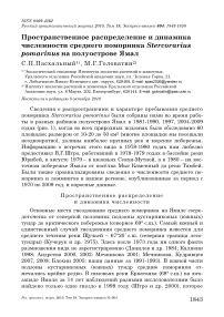 Пространственное распределение и динамика численности среднего поморника Stercorarius pomarinus на полуострове Ямал
