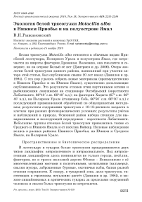 Экология белой трясогузки Motacilla alba в Нижнем Приобье и на полуострове Ямал