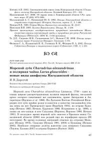 Морской зуёк Charadrius alexandrinus и полярная чайка Larus glaucoides - новые виды авифауны Магаданской области