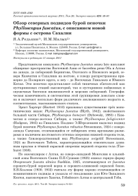 Обзор северных подвидов бурой пеночки Phylloscopus fuscatus, с описанием новой формы с острова Сахалин