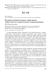 Поздняя осенняя встреча серой цапли Ardea cinerea в окрестностях Семипалатинска