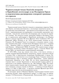 Черноголовый чекан Saxicola torquata в приобской лесотундре и на Полярном Урале и перспективы расширения северной границы его ареала