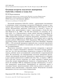 Осенняя встреча хохлатого жаворонка Galerida cristata в Алма-Ате