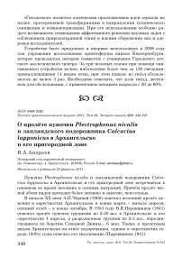 О пролёте пуночки Plectrophenax nivalis и лапландского подорожника Calcarius lapponicus в Архангельске и его пригородной зоне