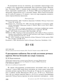 О разорении кабаном Sus scrofa колонии речных крачек Sterna hirundo на озере Алаколь