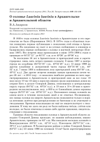 О соловье Luscinia luscinia в Архангельске и Архангельской области