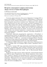 Встреча зимующего чирка-свистунка Anas crecca в Санкт-Петербурге