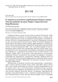 О зимнем и весеннем пребывании бурой оляпки Cinclus pallasii на реке Бира в окрестностях Биробиджана