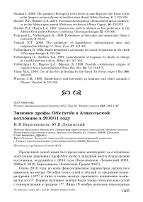 Зимовка дрофы Otis tarda в Алакольской котловине в 2010/11 году