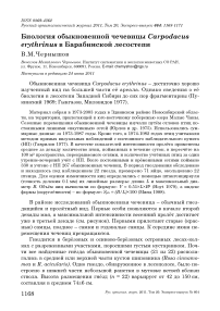 Биология обыкновенной чечевицы Carpodacus erythrinus в Барабинской лесостепи