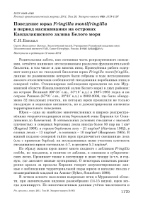 Поведение юрка Fringilla montifringilla в период насиживания на островах Кандалакшского залива Белого моря