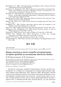 Новая тактика в охоте ястреба-тетеревятника Accipiter gentilis за кекликами Alectoris chukar