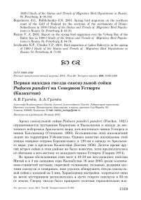 Первая находка гнезда саксаульной сойки Podoces panderi на Северном Устюрте (Казахстан)