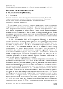 Встречи экзотических птиц в Коломенском (Москва)