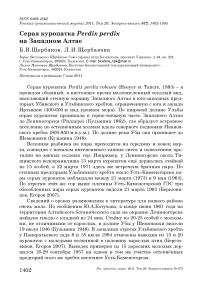 Серая куропатка Perdix perdix на Западном Алтае