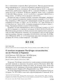 О залётах кедровки Nucifraga caryocatactes на юг России и Украину