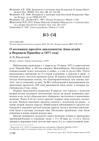 О весеннем пролёте шилохвости Anas acuta в Верхнем Приобье в 1977 году