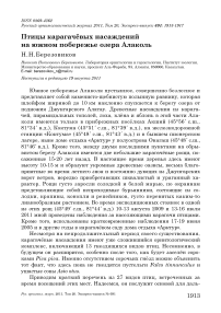 Птицы карагачёвых насаждений на южном побережье озера Алаколь