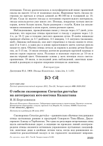 О гибели сизоворонок Coracias garrulus на автотрассах юго-востока Казахстана