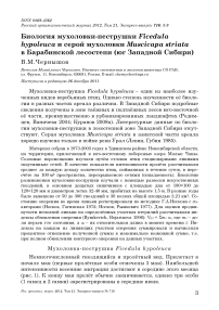 Биология мухоловки-пеструшки Ficedula hypoleuca и серой мухоловки Muscicapa striata в Барабинской лесостепи (юг Западной Сибири)