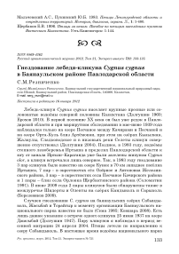 Гнездование лебедя-кликуна Cygnus cygnus в Баянаульском районе Павлодарской области