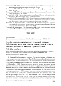 Необычное гнездование пустынной славки Sylvia nana в старом гнезде саксаульной сойки Podoces panderi в южном Прибалхашье