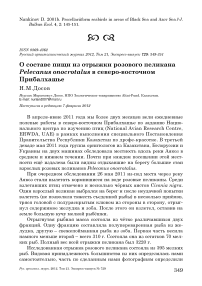 О составе пищи из отрыжки розового пеликана Pelecanus onocrotalus в северо-восточном Прибалхашье