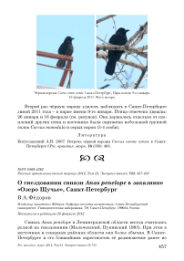 О гнездовании свиязи Anas penelope в заказнике «Озеро Щучье», Санкт-Петербург
