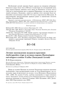 Летние нахождения журавля-красавки Anthropoides virgo и кулика-сороки Haematopus ostralegus в пойме Ульбы (Западный Алтай)