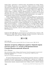 Зимние встречи гибридов серой и чёрной ворон Corvus cornix x C. corone в Петропавловске Северо-Казахстанской области