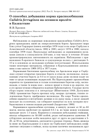 О способах добывания корма краснозобиками Calidris ferruginea на осеннем пролёте в Казахстане