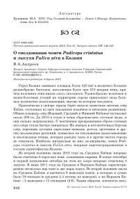 О гнездовании чомги Podiceps cristatus и лысухи Fulica atra в Казани