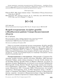 Ястреб-тетеревятник Accipiter gentilis в Жамбылском районе Северо-Казахстанской области