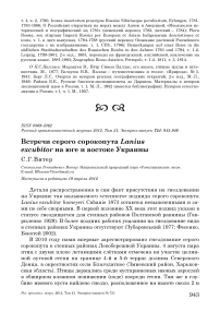 Встречи серого сорокопута Lanius excubitor на юге и востоке Украины