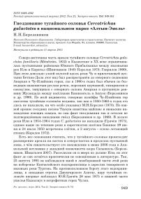 Гнездование тугайного соловья Cercotrichas galactotes в национальном парке «Алтын-Эмель»