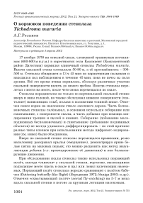 О кормовом поведении стенолаза Tichodroma muraria