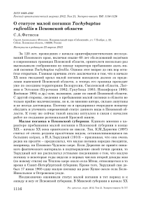 О статусе малой поганки Tachybaptus ruficollis в Псковской области