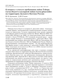 К вопросу о статусе пребывания чайки тэйера Larus thayeri и полярной чайки Larus glaucoides на территории Дальнего Востока России